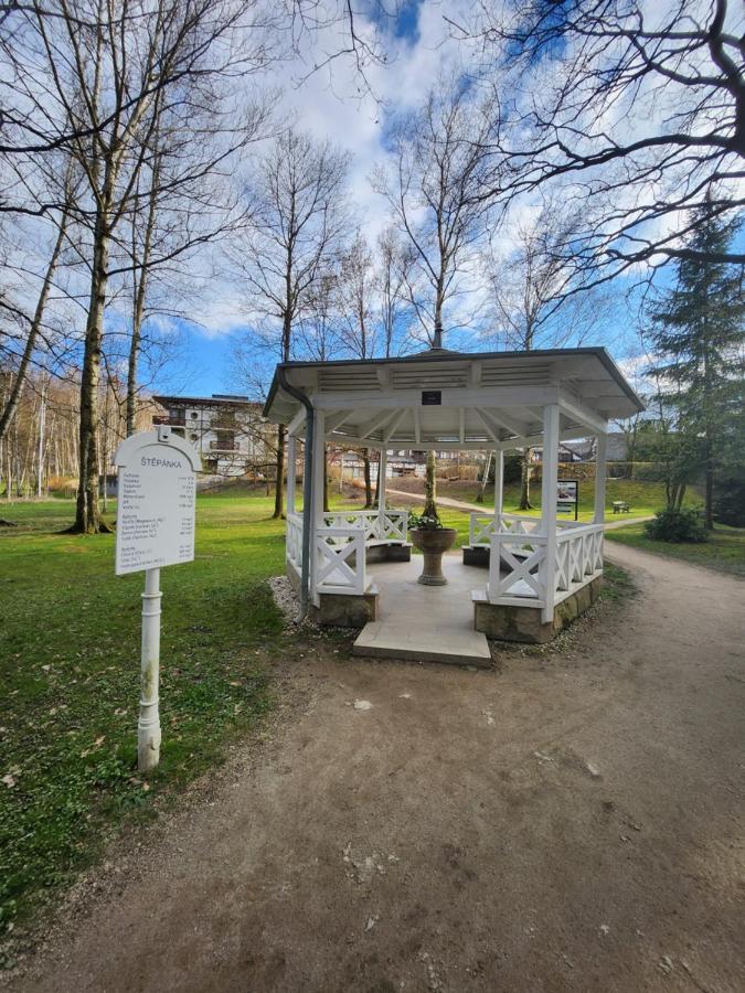Slatina Apartment Frantiskovy Lazne